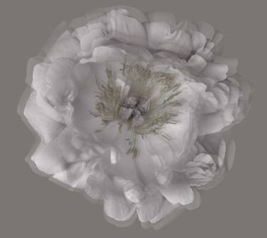 Original Classicism Floral Mixed Media by Dr Natalia Jezova