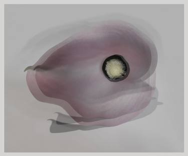 Original Classicism Floral Printmaking by Dr Natalia Jezova