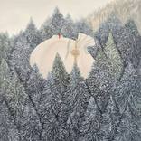 Collection Wintertime Flora & Fauna