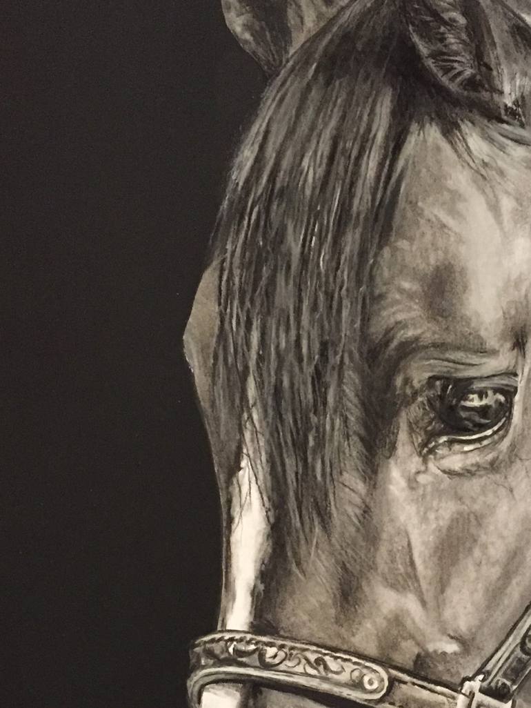 Original Contemporary Horse Mixed Media by Sharron Matheson