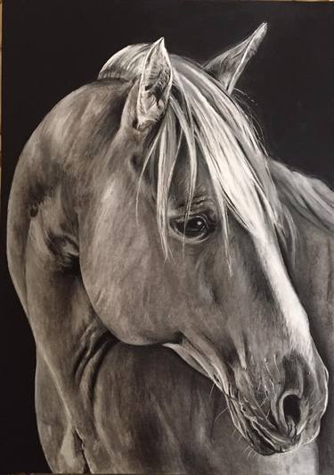 Print of Photorealism Animal Mixed Media by Sharron Matheson