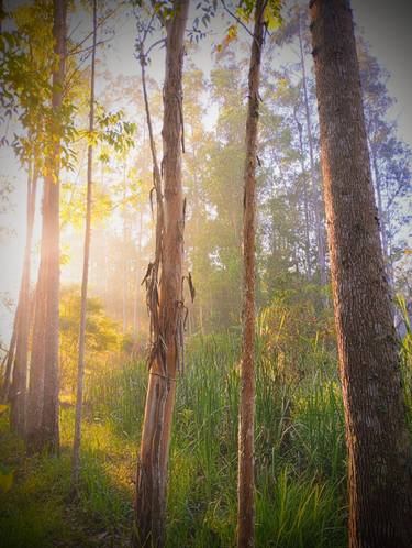 Print of Landscape Photography by J Tucón