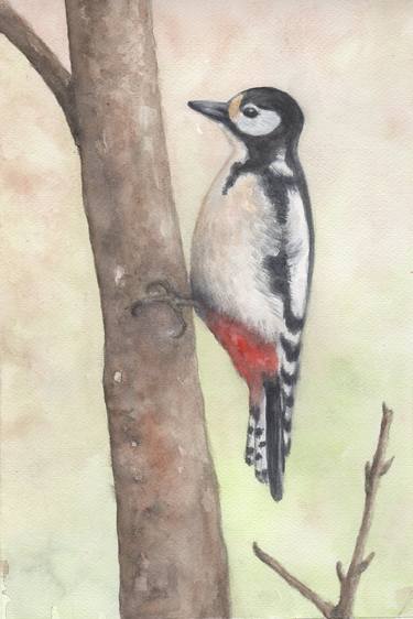 Woodpecker thumb