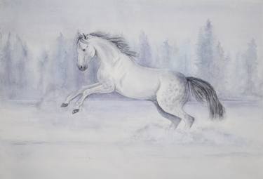 White horse enjoying winter thumb