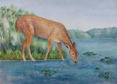 Original Illustration Animal Paintings by Mervi Korhonen