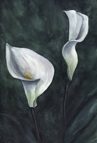 Artless - White Calla Lily thumb