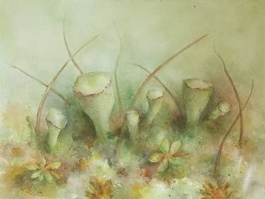 Original Illustration Botanic Paintings by Mervi Korhonen