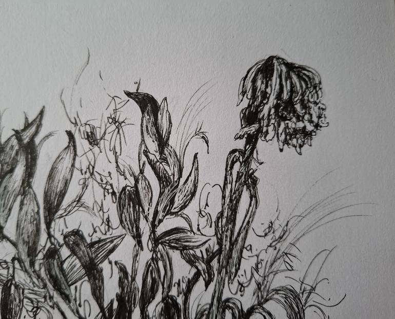 Withered flowers Drawing by Mervi Korhonen | Saatchi Art