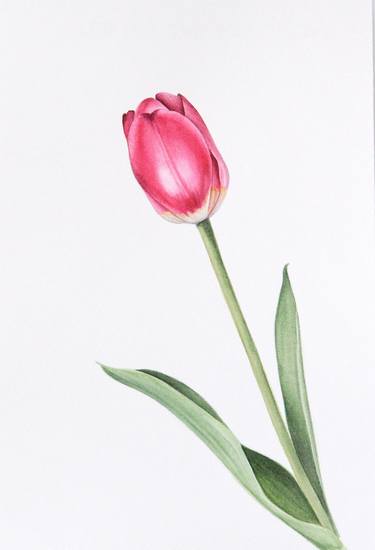 Print of Minimalism Floral Paintings by Victoria Krasnoselska