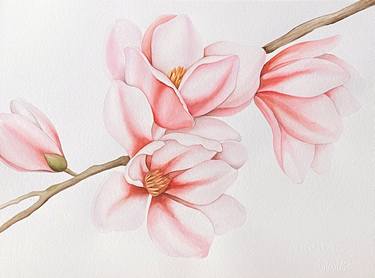 Original Watercolor of magnolia painting thumb