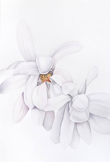 Original Botanic Paintings by Victoria Krasnoselska