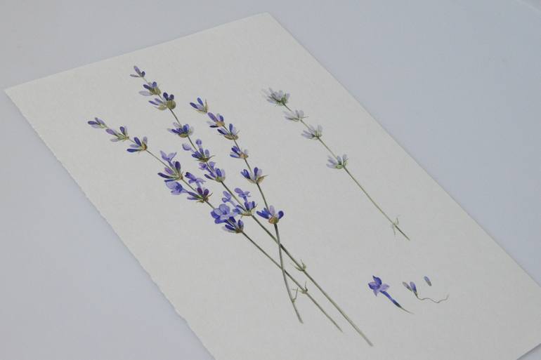 Original Art Deco Botanic Painting by Victoria Krasnoselska