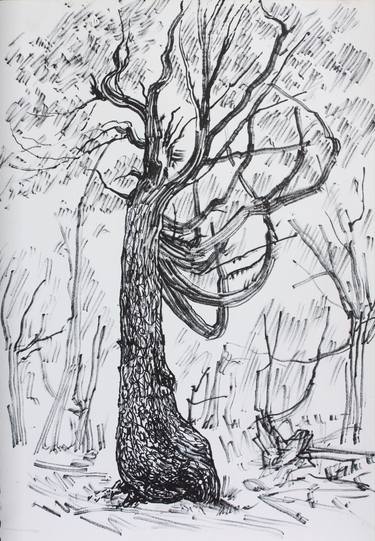 Print of Realism Tree Drawings by Polina Salnikova
