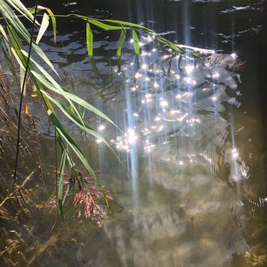 Print of Water Photography by Marzena Zajaczkowska