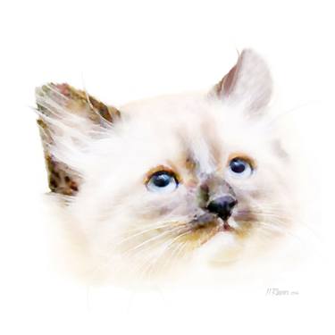 Original Fine Art Cats Mixed Media by Jean L Rayner