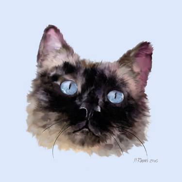 Jasper - Black Blue-Eyed Cat thumb