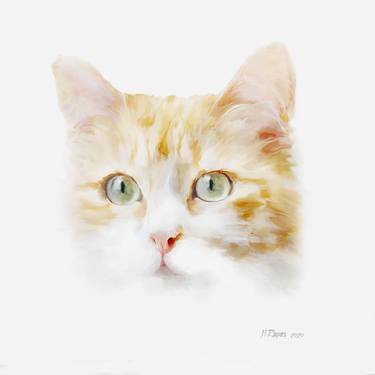 Original Fine Art Cats Mixed Media by Jean L Rayner