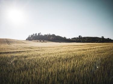 Print of Documentary Landscape Photography by Laurynas Baltrušaitis