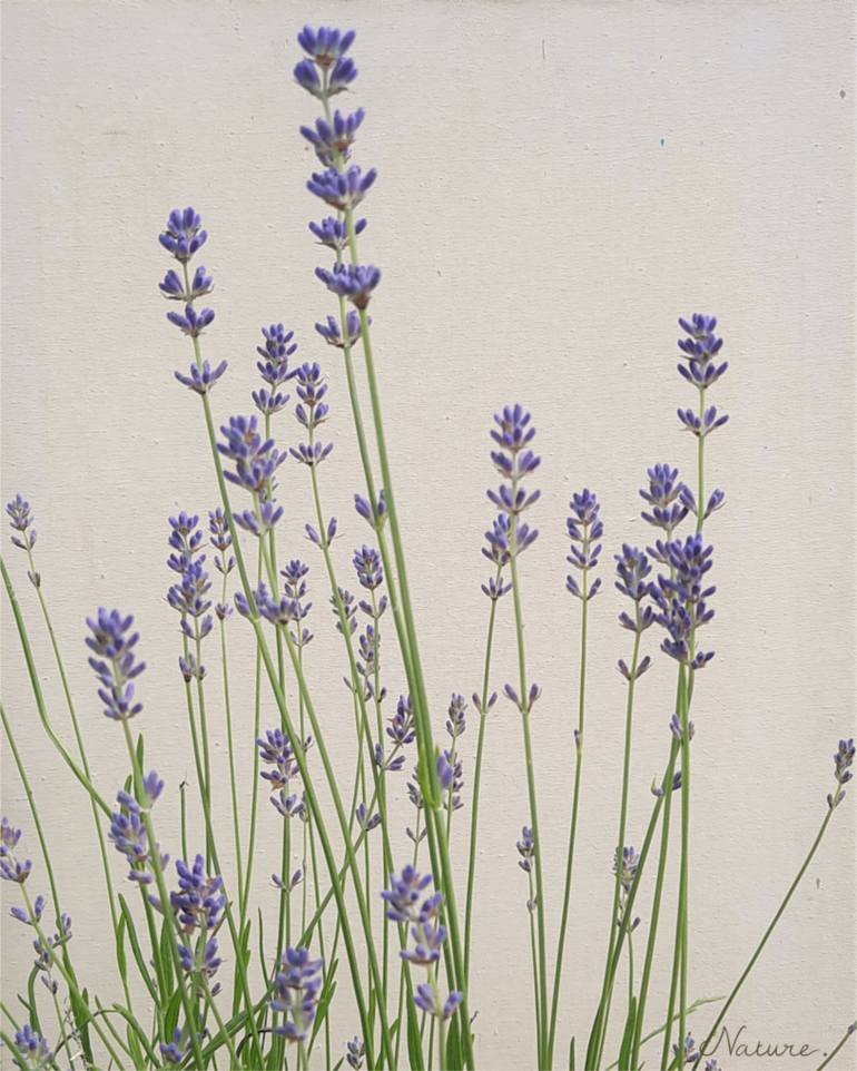 Original Other Floral Photography by Sandy Lane