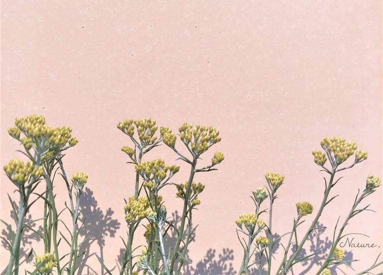 Original Other Floral Photography by Sandy Lane