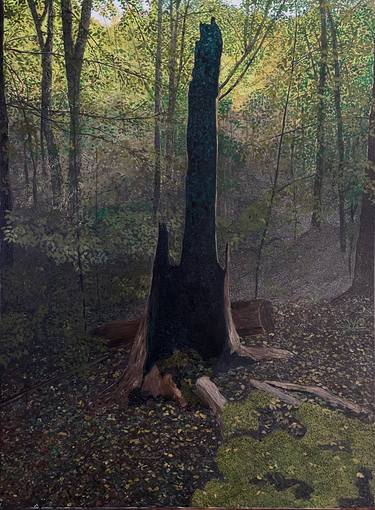 Original Nature Painting by Tomek Wierzchowski