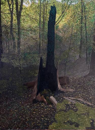 Original Contemporary Nature Painting by Tomek Wierzchowski