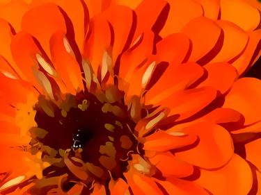 Orange Zinnia with Bug thumb