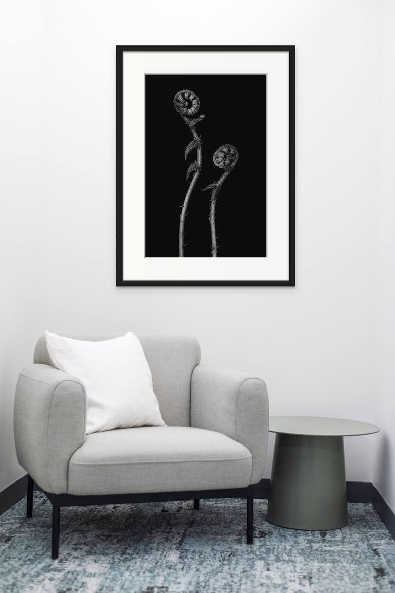 Original Black & White Botanic Photography by Matthias Conrad
