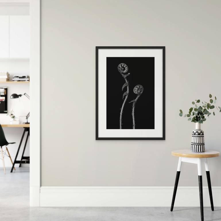 Original Black & White Botanic Photography by Matthias Conrad