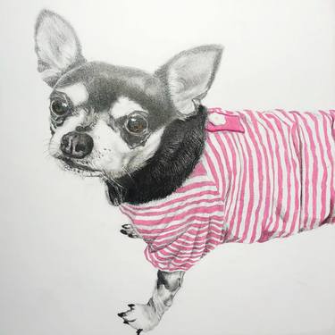 Print of Fine Art Animal Drawings by Darren Rivers