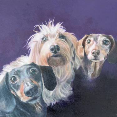 Original Fine Art Animal Paintings by Kathrine Young