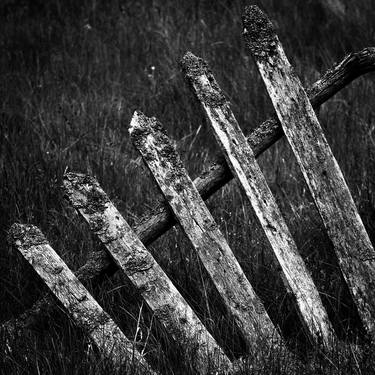 Old Fence - Limited Edition of 10 thumb