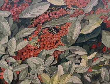 Original Documentary Botanic Paintings by Joy Liu