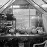 view additional image 1