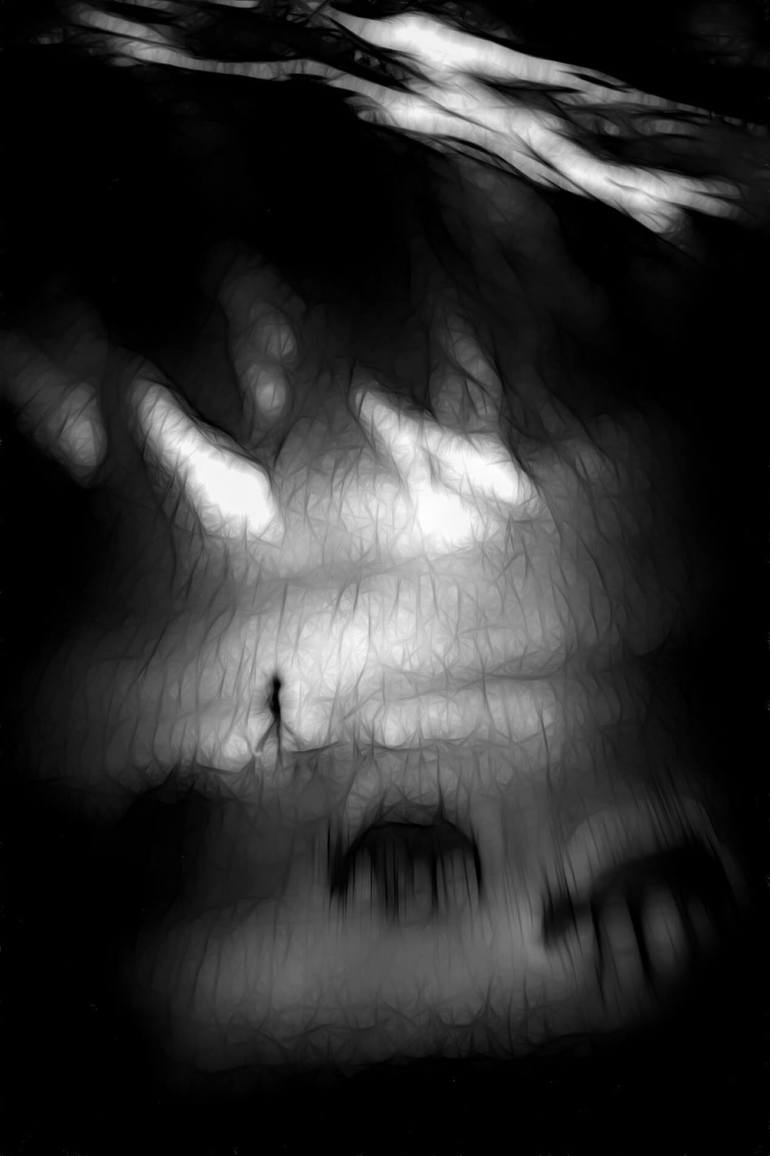 Original Abstract Photography by Madhur Dhingra