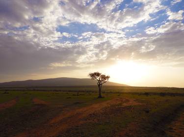 "Wild Life Energy" : Masai Mara National Park in Kenya thumb