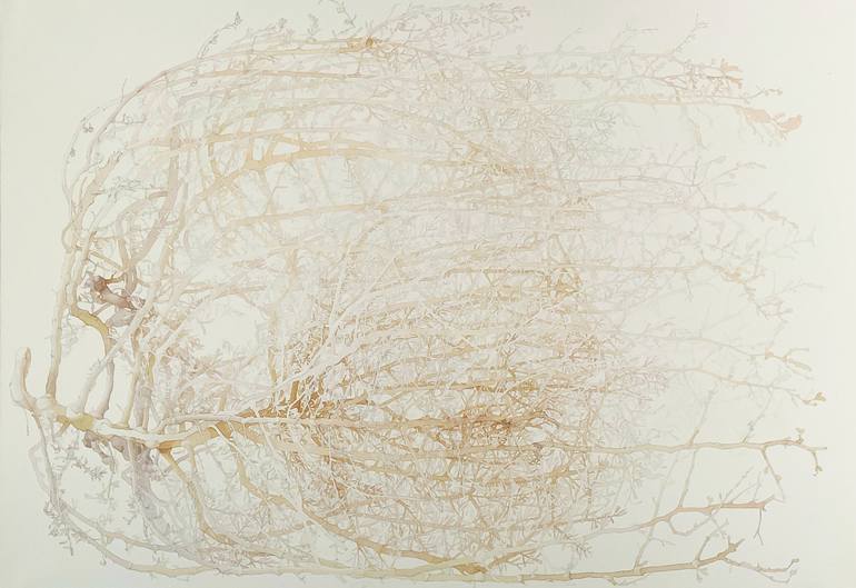 Print of Conceptual Botanic Drawing by Anna Arlet