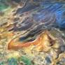 Close up texture detail