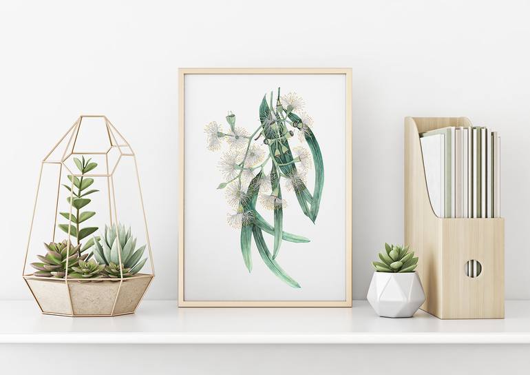 Original Illustration Botanic Drawing by Neha Gupte