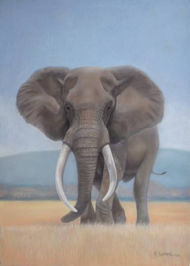 Original Fine Art Animal Paintings by Regan Bothma