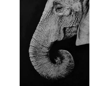 GAJRAJ elephant head thumb