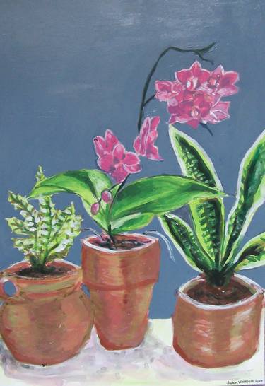 Original Botanic Paintings by Judith Woodfield
