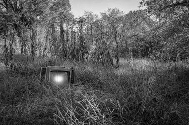 Television in the Weeds thumb