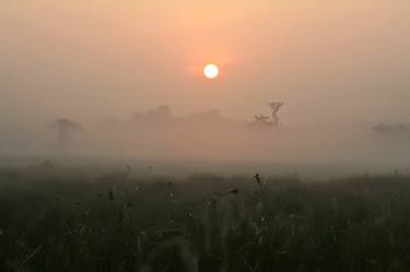 Print of Fine Art Nature Photography by B Rasika Prabhashan De Silva