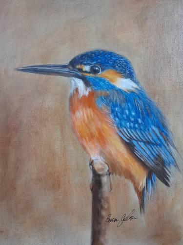 Kingfisher thumb