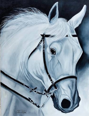 White horse beauty thumb