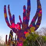 Collection Out West: The Other Art Fair LA Winter 2026