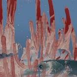 Who said you can't surf between catuses II by Diana Gracida