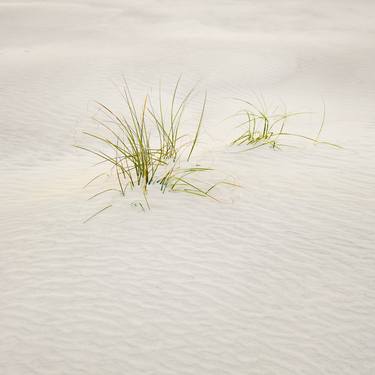 Original Minimalism Landscape Photography by Patrick Lynch