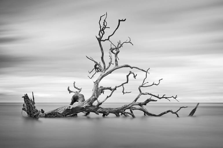 Shifting Sands R - Print
